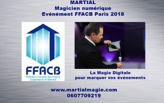 magicien professionnel